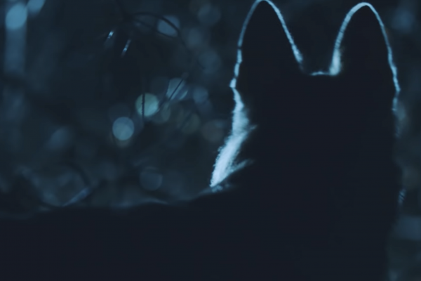 Kross – Moon Has Risen